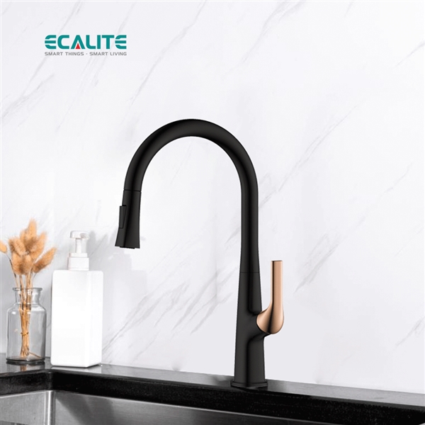 Vòi rửa chén nóng lạnh dây rút Pull-out Ecalite EF-K569BR